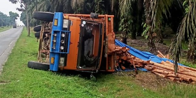 Mobil Truck Trinton Pengangkut Kayu Akasia Terguling Di Sisumut Jalan Lintas Sumatera