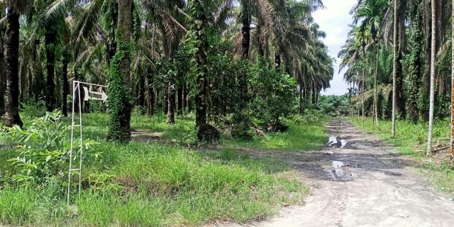 Warga Dusun Enam Sei Kalam Gang Simpati Teluk Panji Keluhkan Jalan Yang Becek