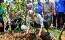 Wali Kota Dumai, Melakukan Penanaman Bibit Durian di Lahan Kelompok Tani Mekar Sejati